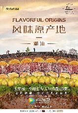 影片海报