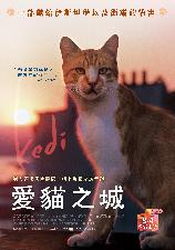 影片海报