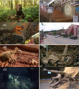 影片海报