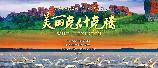 影片海报