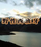 影片海报