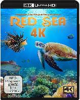 影片海报