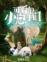 影片海报
