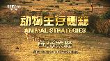 影片海报