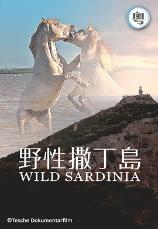 影片海报