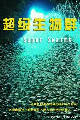 影片海报