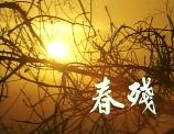 影片海报