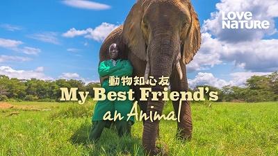 影片海报