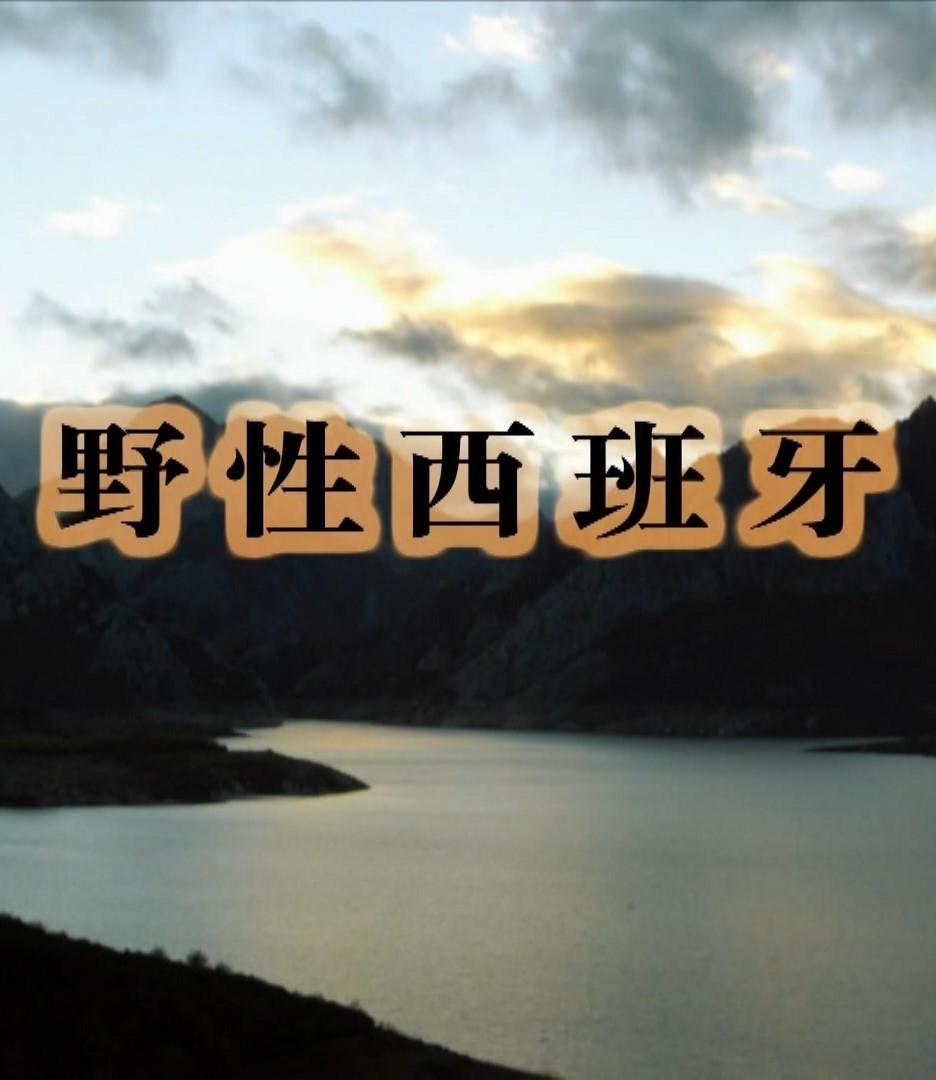 影片海报