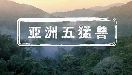 影片海报