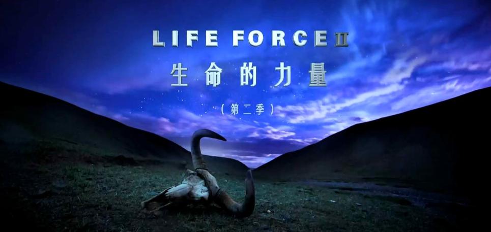 影片海报