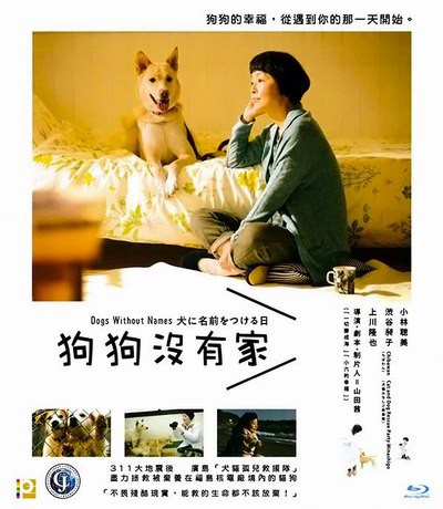影片海报