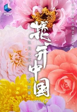 影片海报