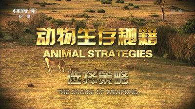 影片海报