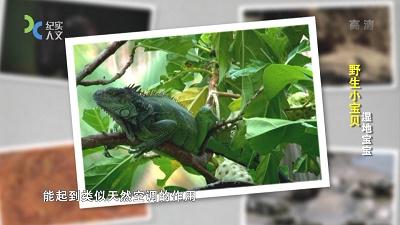 影片海报