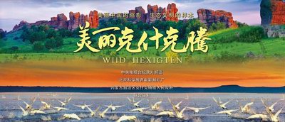 影片海报