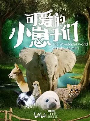 影片海报