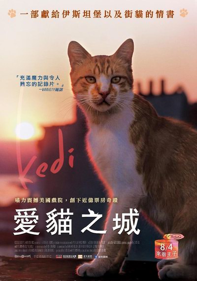 影片海报